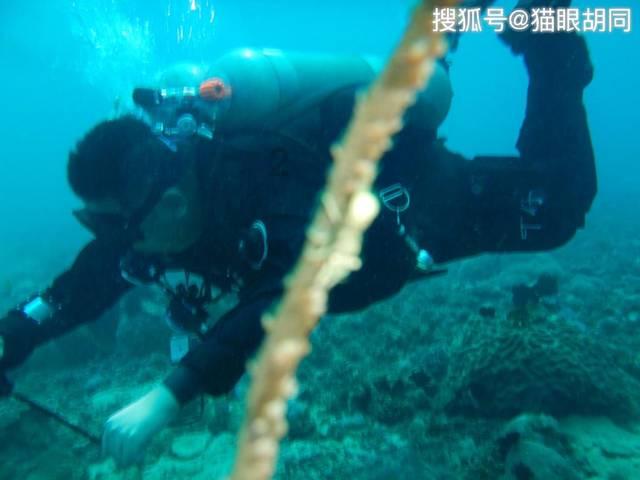 越野车一定要选全时四驱吗?全时四驱有什么优缺点呢?平台-发现与分享的乐趣